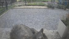 20260514T182623467665.jpg