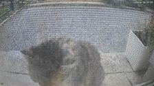 20260515T092846182148_motion.jpg