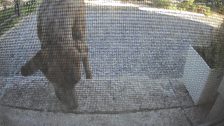 20260515T164525277017_motion.jpg