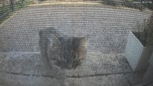 20260515T170858162242_motion.jpg