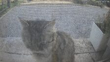 20260515T171654541841_scheduled.jpg