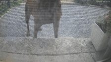 20260515T114408052959_scheduled.jpg
