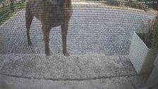 20260515T164359779521_scheduled.jpg