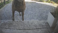 20260515T164502251822_scheduled.jpg