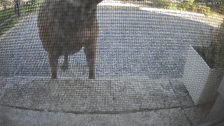 20260515T164626518655_scheduled.jpg