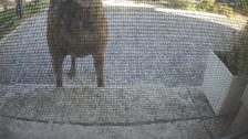 20260515T164631306204_scheduled.jpg
