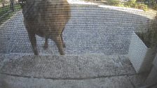 20260515T164649213906_scheduled.jpg