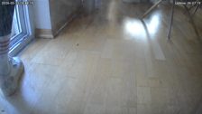 20260515T164821630072_scheduled.jpg