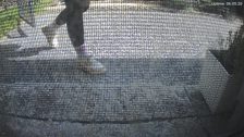 20260515T144848262055_motion.jpg