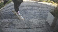 20260515T164907408018_scheduled.jpg