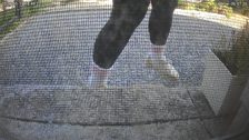 20260515T164923477091_scheduled.jpg